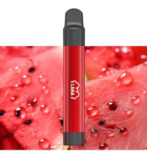 拋棄式電子煙 LANA 2000口
