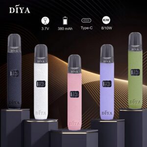 DIYA 叮啞 皮革 主機