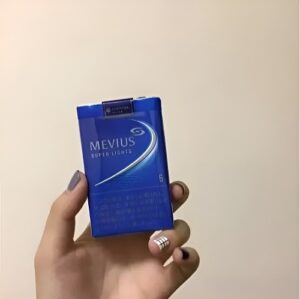 日本加熱煙