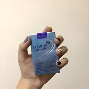 日本加熱煙